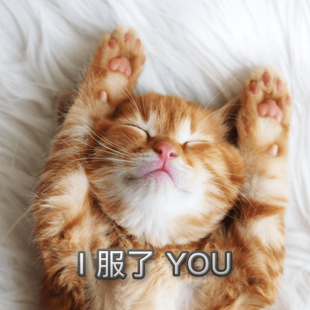 喵主子 messages sticker-4