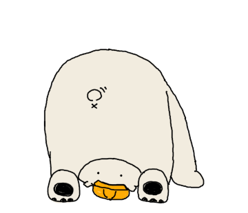 Happy Polar Bear White Sticker messages sticker-10