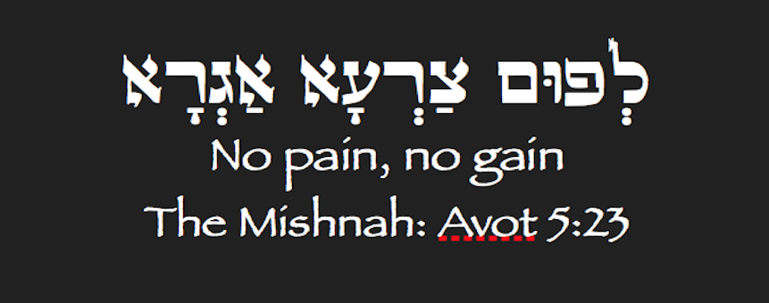 Jewish Stickers! messages sticker-9