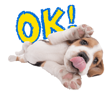 Sweety Dog Lover messages sticker-0