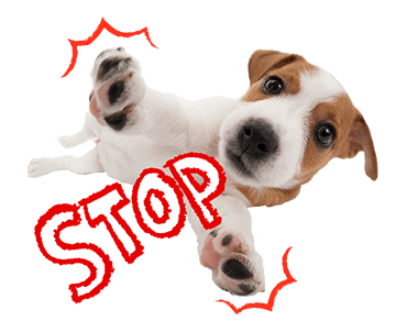Sweety Dog Lover messages sticker-7