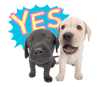 Sweety Dog Lover messages sticker-2