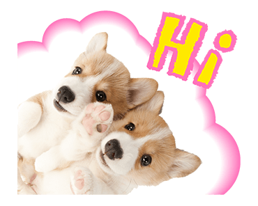Sweety Dog Lover messages sticker-6