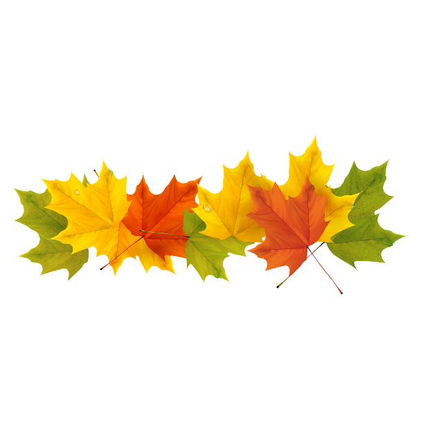 Autumn & Halloween Stickers messages sticker-11