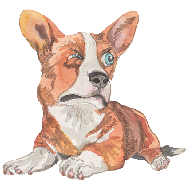 Grumpy Animals by Rhea Dennis messages sticker-4