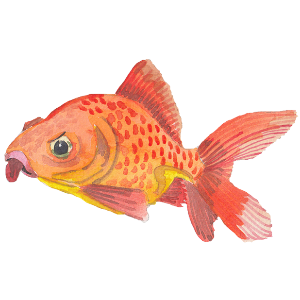 Grumpy Animals by Rhea Dennis messages sticker-5