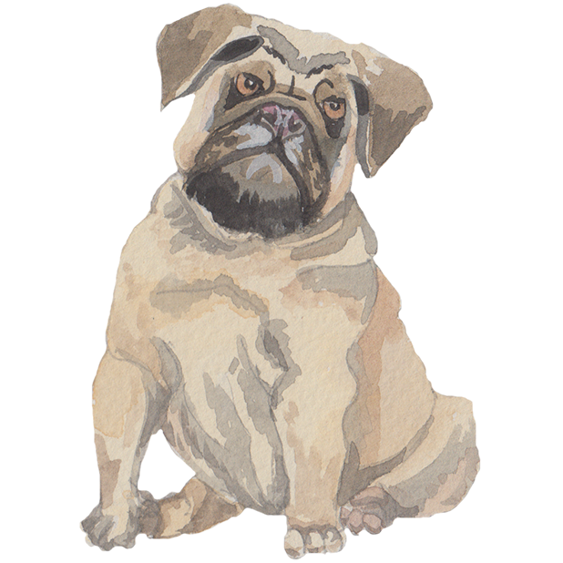 Grumpy Animals by Rhea Dennis messages sticker-1