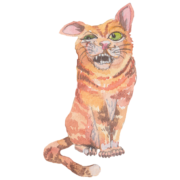 Grumpy Animals by Rhea Dennis messages sticker-3