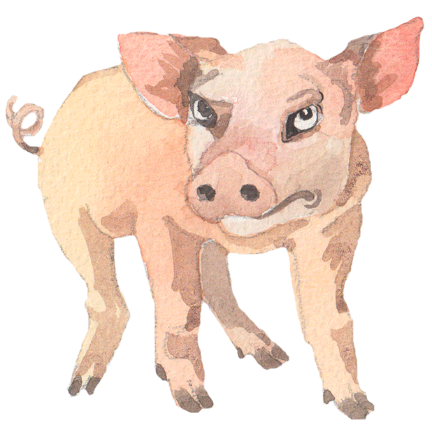 Grumpy Animals by Rhea Dennis messages sticker-7
