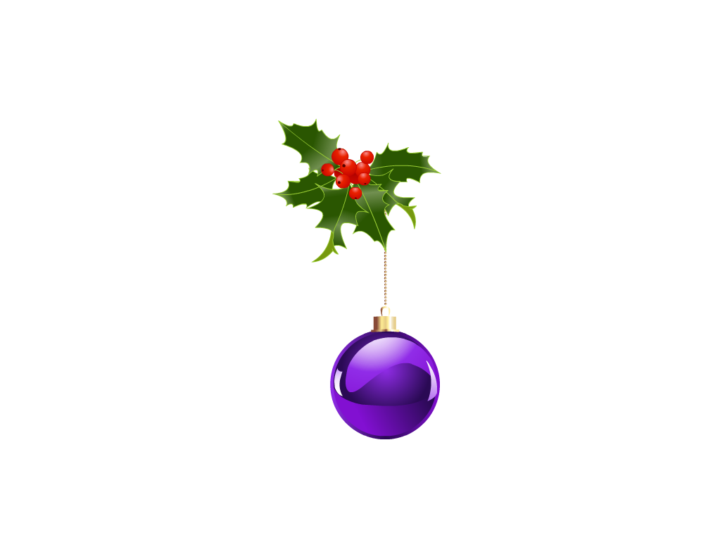 HD Christmas Stickers messages sticker-4