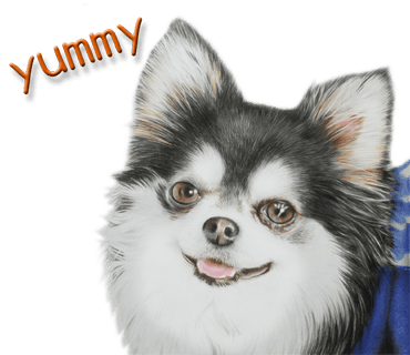 Rex The Realistic Dog messages sticker-10