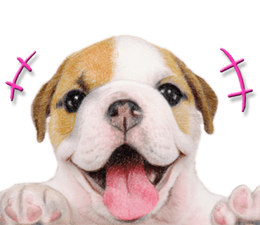 Rex The Realistic Dog messages sticker-3