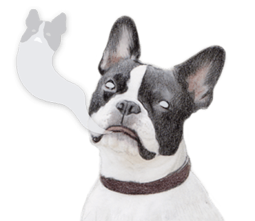 Rex The Realistic Dog messages sticker-4