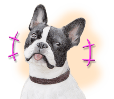 Rex The Realistic Dog messages sticker-5