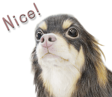 Rex The Realistic Dog messages sticker-11