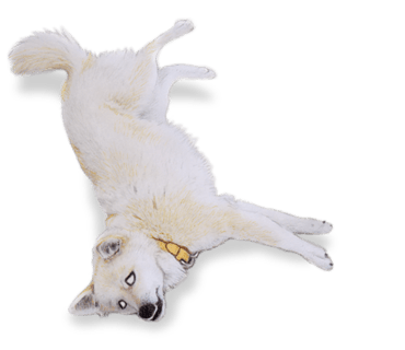 Rex The Realistic Dog messages sticker-7