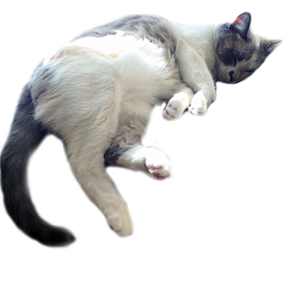 Hovmojis Pack messages sticker-0
