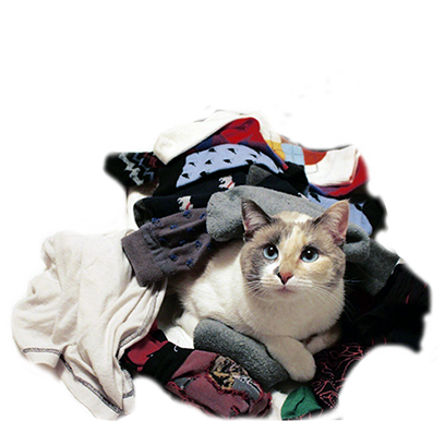 Hovmojis Pack messages sticker-5