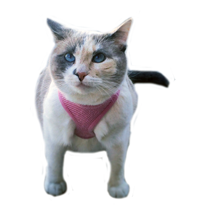 Hovmojis Pack messages sticker-7