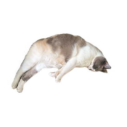 Hovmojis Pack messages sticker-6
