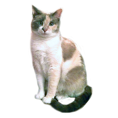 Hovmojis Pack messages sticker-9