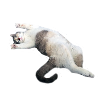 Hovmojis Pack messages sticker-10