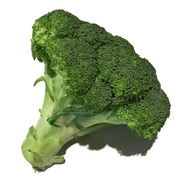 Vegetable Stickers - Great for Veggies and Vegans messages sticker-1