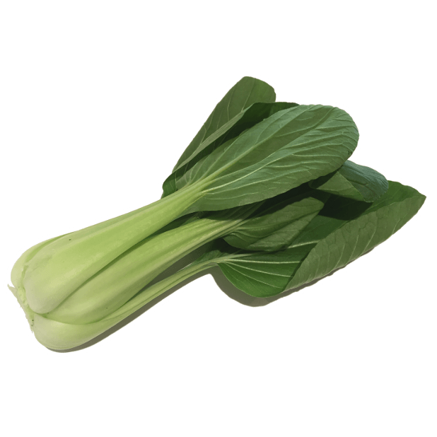 Vegetable Stickers - Great for Veggies and Vegans messages sticker-11