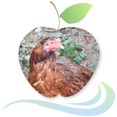 Applecreek's Farm messages sticker-7