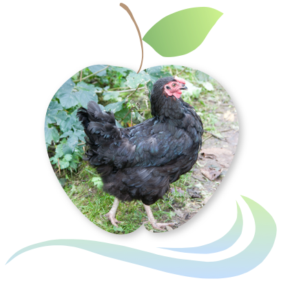 Applecreek's Farm messages sticker-9
