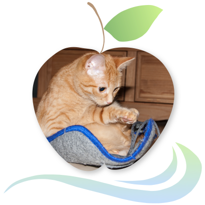Applecreek's Farm messages sticker-1