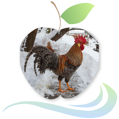 Applecreek's Farm messages sticker-10