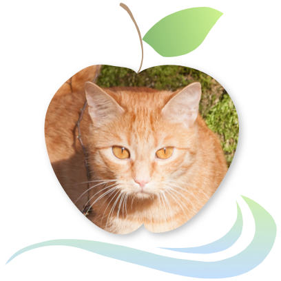 Applecreek's Farm messages sticker-0