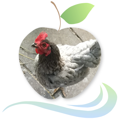 Applecreek's Farm messages sticker-8