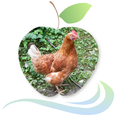Applecreek's Farm messages sticker-6