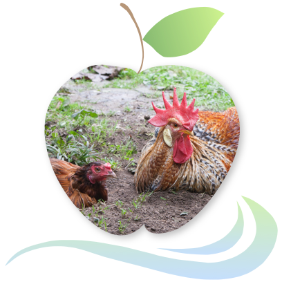 Applecreek's Farm messages sticker-11