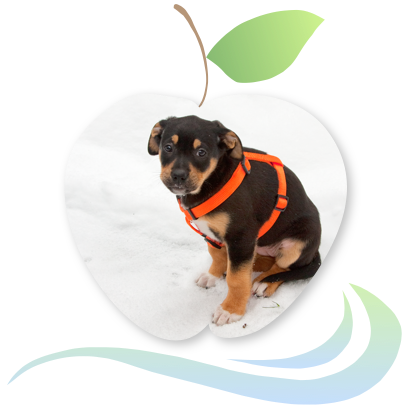 Applecreek's Farm messages sticker-4