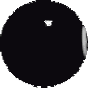 Magic 8 Ball Animated Stickers messages sticker-8