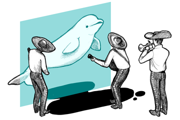 Animos - Animated animal stickers for iMessage messages sticker-0