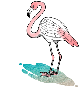 Animos - Animated animal stickers for iMessage messages sticker-4