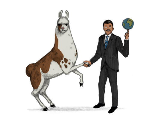 Llama Diplomat - Animated llama stickers messages sticker-8