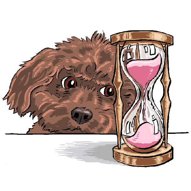DogCalc - Memo Calculator & Dog Stickers messages sticker-11