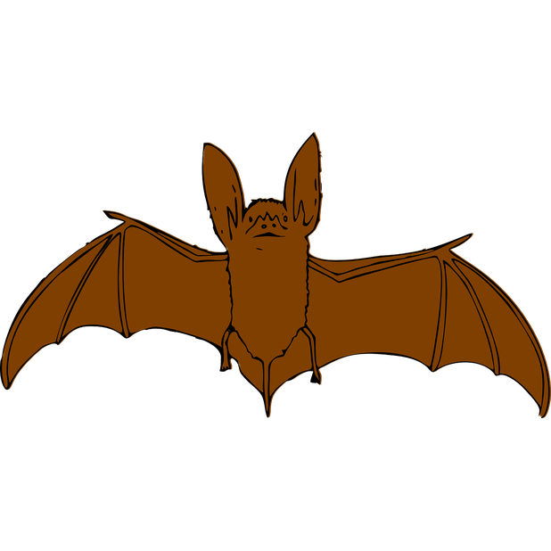 Bats Stickers messages sticker-6