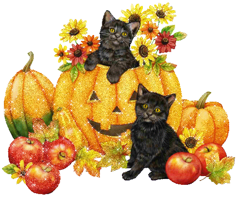 Halloween Animated stickers for iMessage messages sticker-4