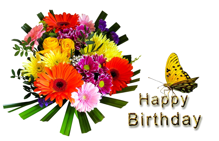Birthday stickers for iMessage messages sticker-10