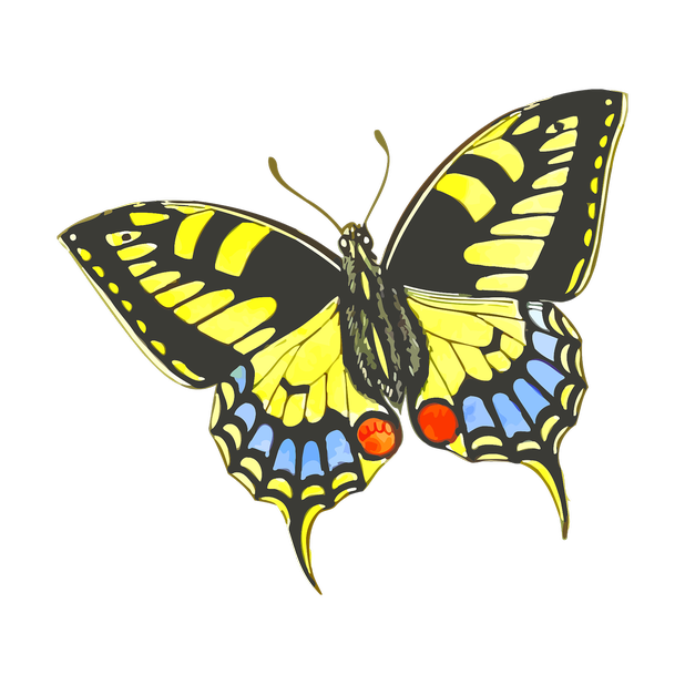 Butterflies Variety Pack messages sticker-6