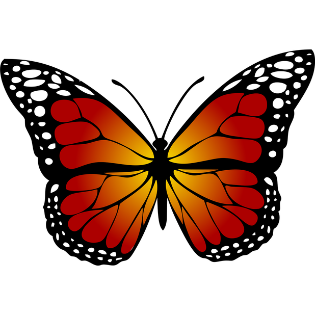Butterflies Variety Pack messages sticker-10