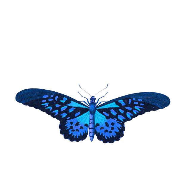 Butterflies Variety Pack messages sticker-0