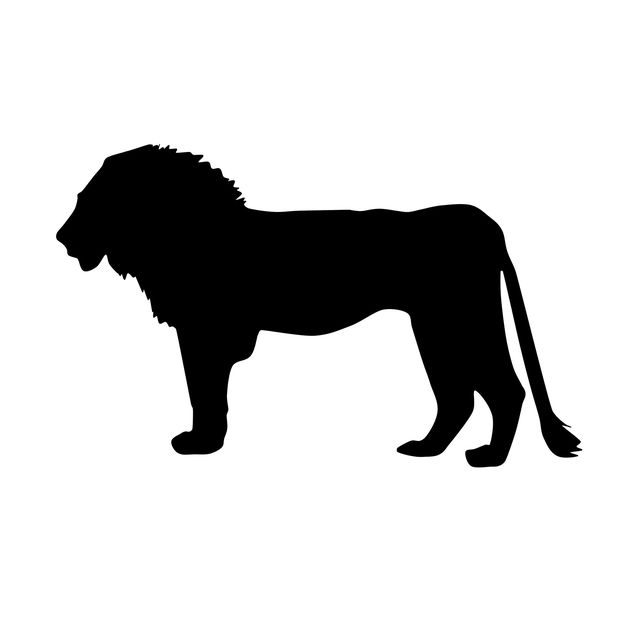 Lion Sticker Pack messages sticker-2