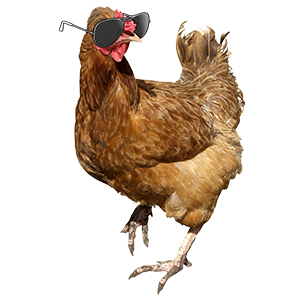 Shonduras messages sticker-5